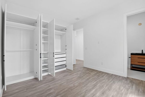 Interior, Walk-in Closets, Wood Texture Flooring
