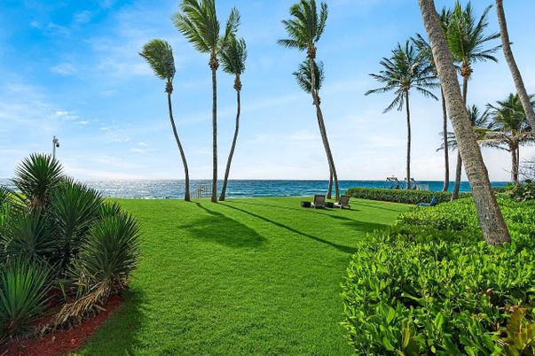 Backyard, Exterior, Water