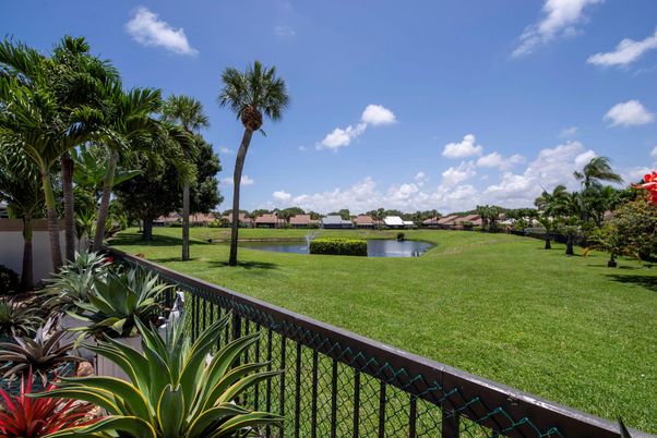 Backyard, Exterior, Water