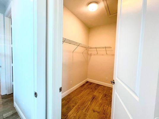 Interior, Walk-in Closets, Wood Texture Flooring