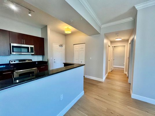 Interior, Kitchen, Stainless Steel Appliances, Wood Texture Flooring
