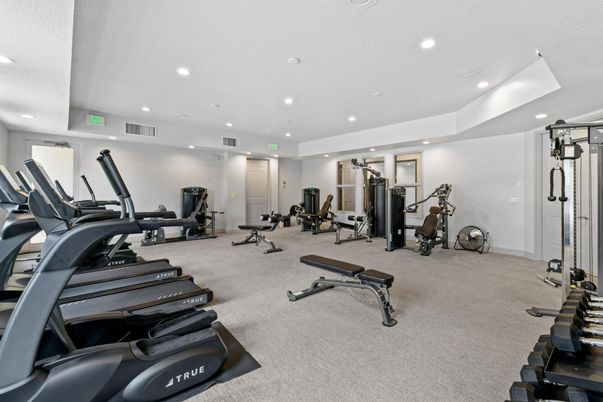 Fitness Equipment, Gym, Interior, Recessed Lighting