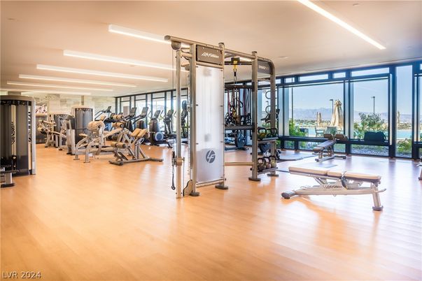 Fitness Equipment, Gym, Interior, Recessed Lighting, Wood Texture Flooring