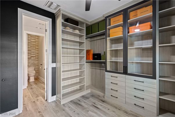Bathroom, Interior, Walk-in Closets, Wood Texture Flooring