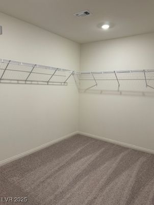 Interior, Recessed Lighting, Walk-in Closets