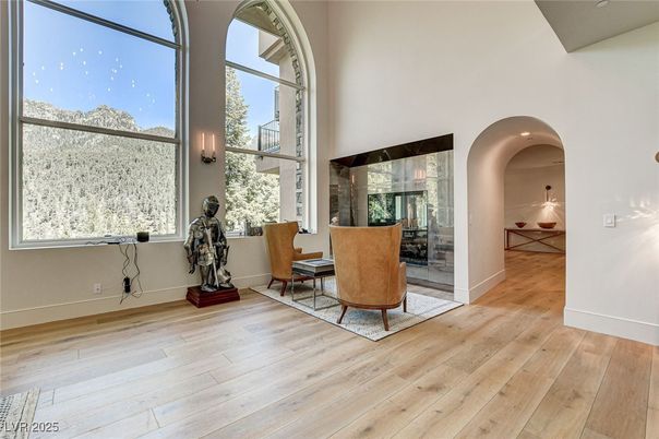 Fireplace, Interior, Wood Texture Flooring