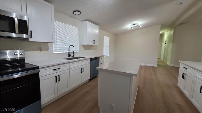 Interior, Kitchen, Stainless Steel Appliances, Wood Texture Flooring