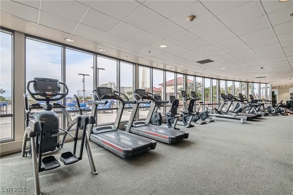 Fitness Equipment, Gym, Interior, Recessed Lighting