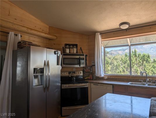 Interior, Kitchen, Stainless Steel Appliances, Wooden Walls