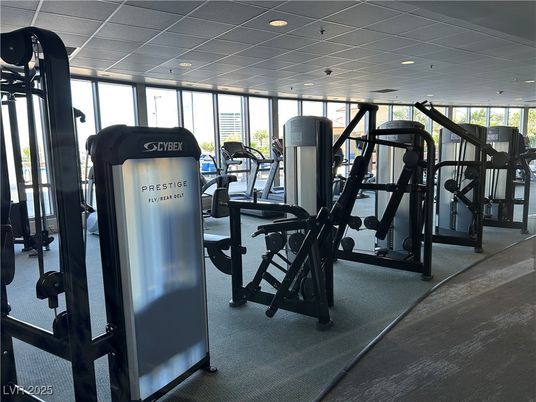Fitness Equipment, Gym, Interior, Recessed Lighting
