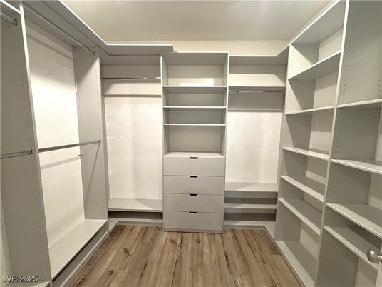 Interior, Walk-in Closets, Wood Texture Flooring