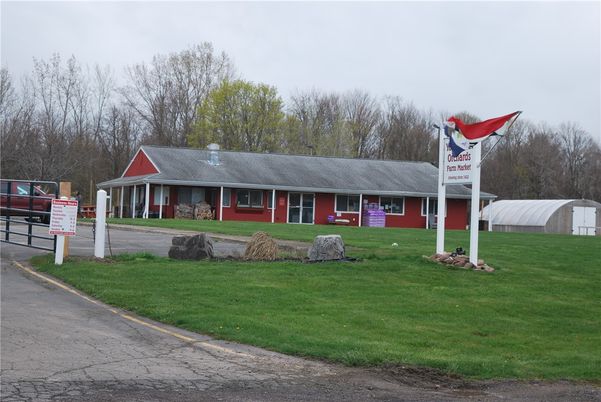 Backyard, Exterior, Facade, Cape Cod