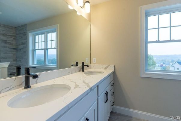 Bathroom, Dual Sink Vanities, Interior, Wood Texture Flooring