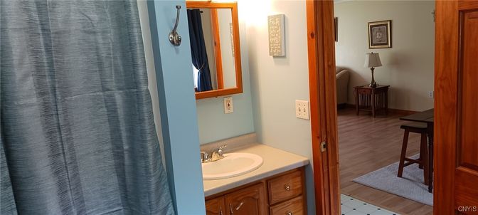 Bathroom, Interior, Wood Texture Flooring