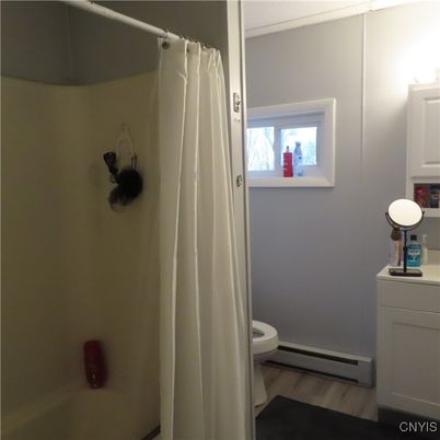 Bathroom, Interior, Wood Texture Flooring