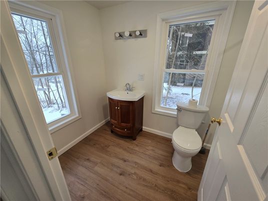 Bathroom, Interior, Wood Texture Flooring