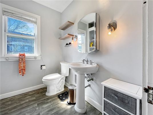 Bathroom, Interior, Wood Texture Flooring