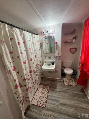 Bathroom, Interior, Wood Texture Flooring