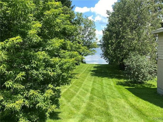 Backyard, Exterior, Water