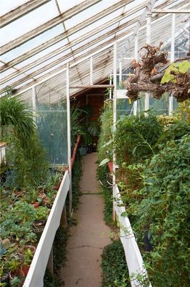 Glass Ceilings, Interior, Sun Room