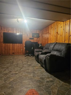 Interior, Living room, Wooden Walls