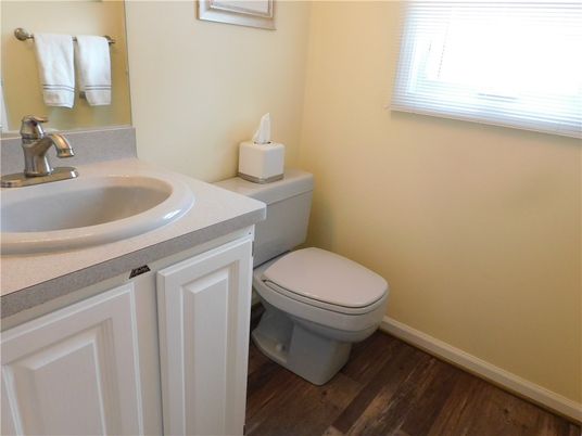 Bathroom, Interior, Wood Texture Flooring