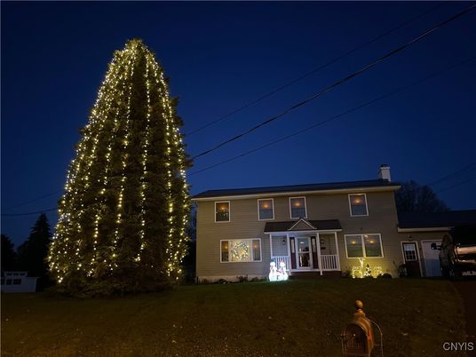 Backyard, Exterior, Facade, Georgian