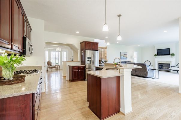 Fireplace, Interior, Kitchen, Living room, Pendant Lights, Recessed Lighting, Stainless Steel Appliances, Wood Texture Flooring