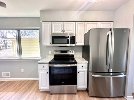 Interior, Kitchen, Stainless Steel Appliances, Wood Texture Flooring