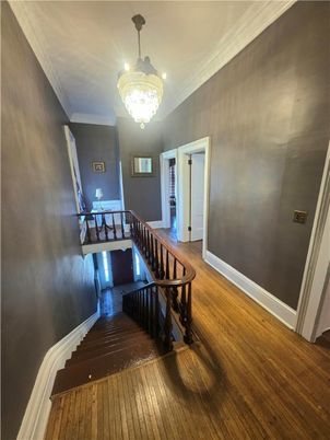 Chandelier, Interior, Wood Texture Flooring