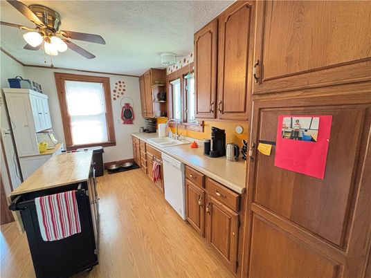 Interior, Kitchen, Wood Texture Flooring