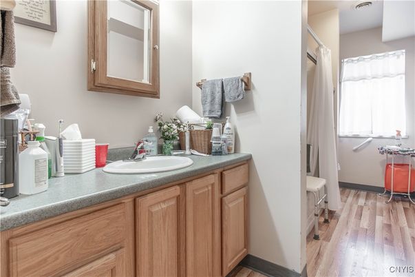 Bathroom, Dual Sink Vanities, Interior, Wood Texture Flooring