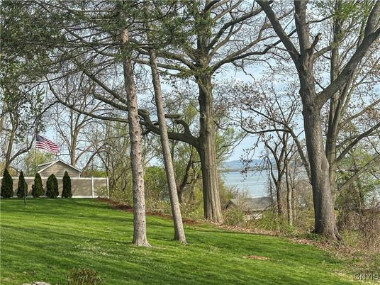 Backyard, Exterior, Water
