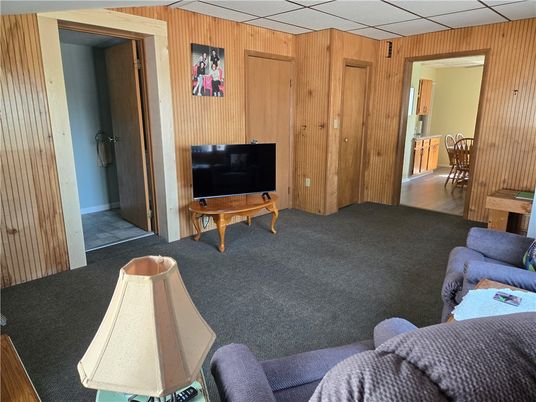 Interior, Living room, Wooden Walls
