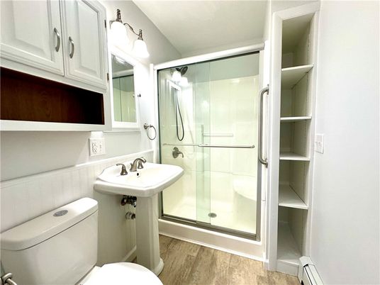 Bathroom, Glass Shower, Interior, Wood Texture Flooring
