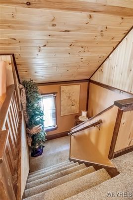 Interior, Wooden Ceilings