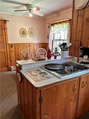 Interior, Kitchen, Wooden Walls