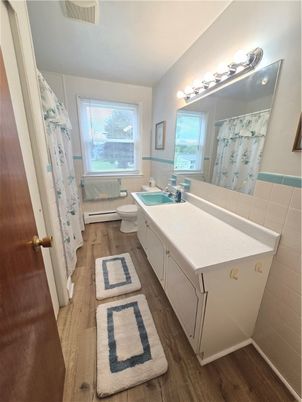 Bathroom, Interior, Wood Texture Flooring