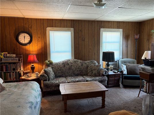 Interior, Living room, Wooden Walls