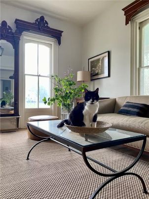 Interior, Living room
