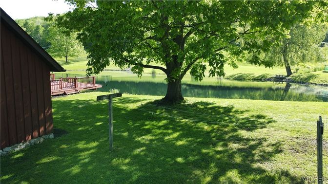 Backyard, Exterior, Water