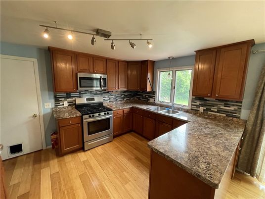 Interior, Kitchen, Stainless Steel Appliances, Wood Texture Flooring