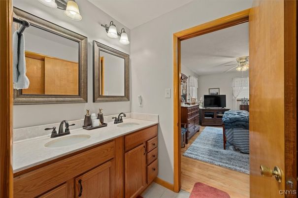 Bathroom, Dual Sink Vanities, Interior, Wood Texture Flooring