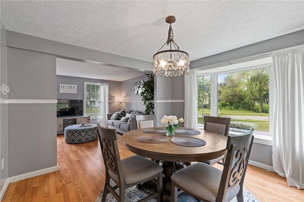 Chandelier, Dining room, Interior, Living room, Wood Texture Flooring