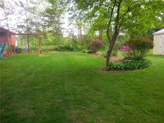 Backyard, Exterior, Playground