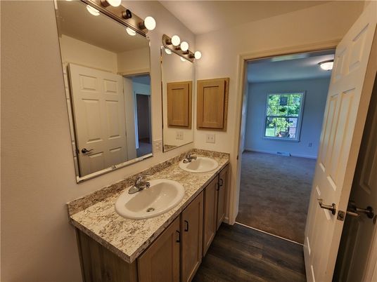 Bathroom, Dual Sink Vanities, Interior, Wood Texture Flooring