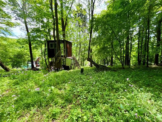 Backyard, Exterior, Playground