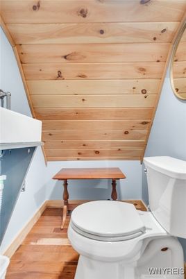 Bathroom, Interior, Wooden Ceilings, Wood Texture Flooring