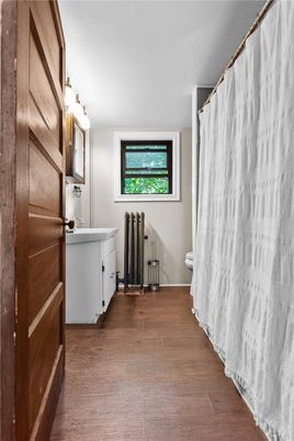 Bathroom, Interior, Wood Texture Flooring