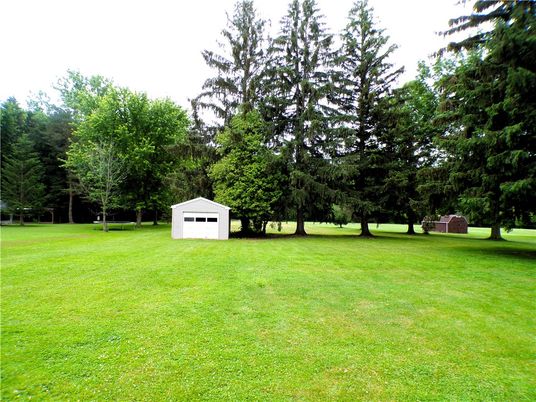 Backyard, Detached Garage, Exterior